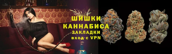 ПСИЛОЦИБИНОВЫЕ ГРИБЫ Белоозёрский